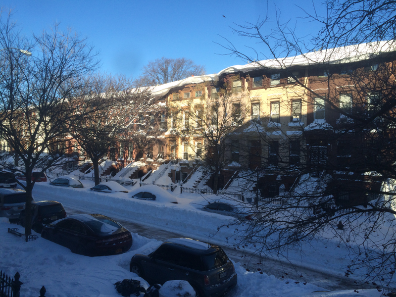 Illustration for article titled A Blizzard Grows in Brooklyn